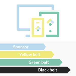 lean belts formations à distances Lean manufacturing Lean Management Lean Service elearning équipes yellow belt green belt black belt