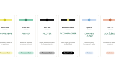 Yellow, Green, Black Belt : quelle certification Lean pour quel objectif ?